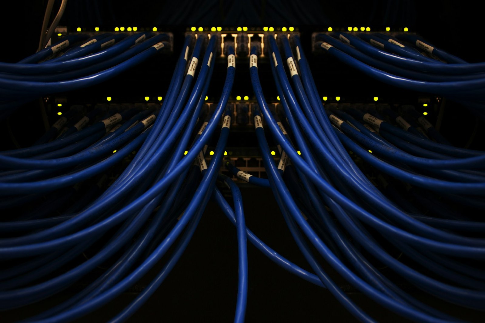 Blue-lit data center server racks